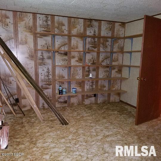 838 Wessenberg Road Villa Ridge, IL 62996 - Photo 21 of 30