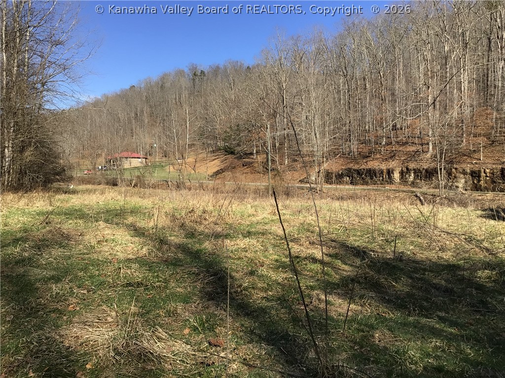0 Bulger Road Alkol, WV 25501 - Photo 27 of 50 Gallery Image 27