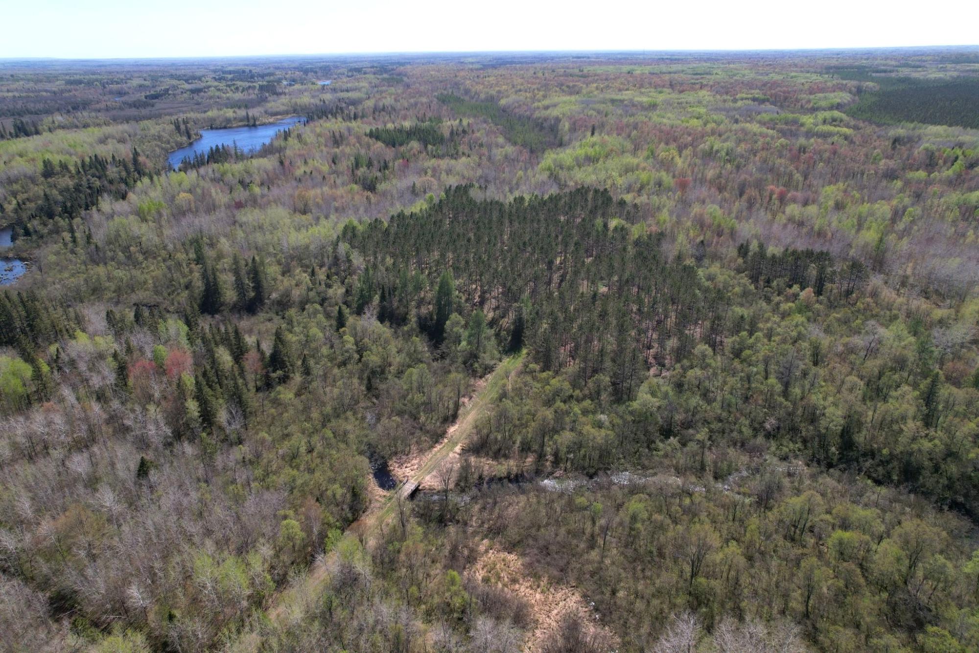 Off Hay Creek Road, Unit 820ACRES Prentice, WI 54556 - Photo 10 of 43 Gallery Image 10