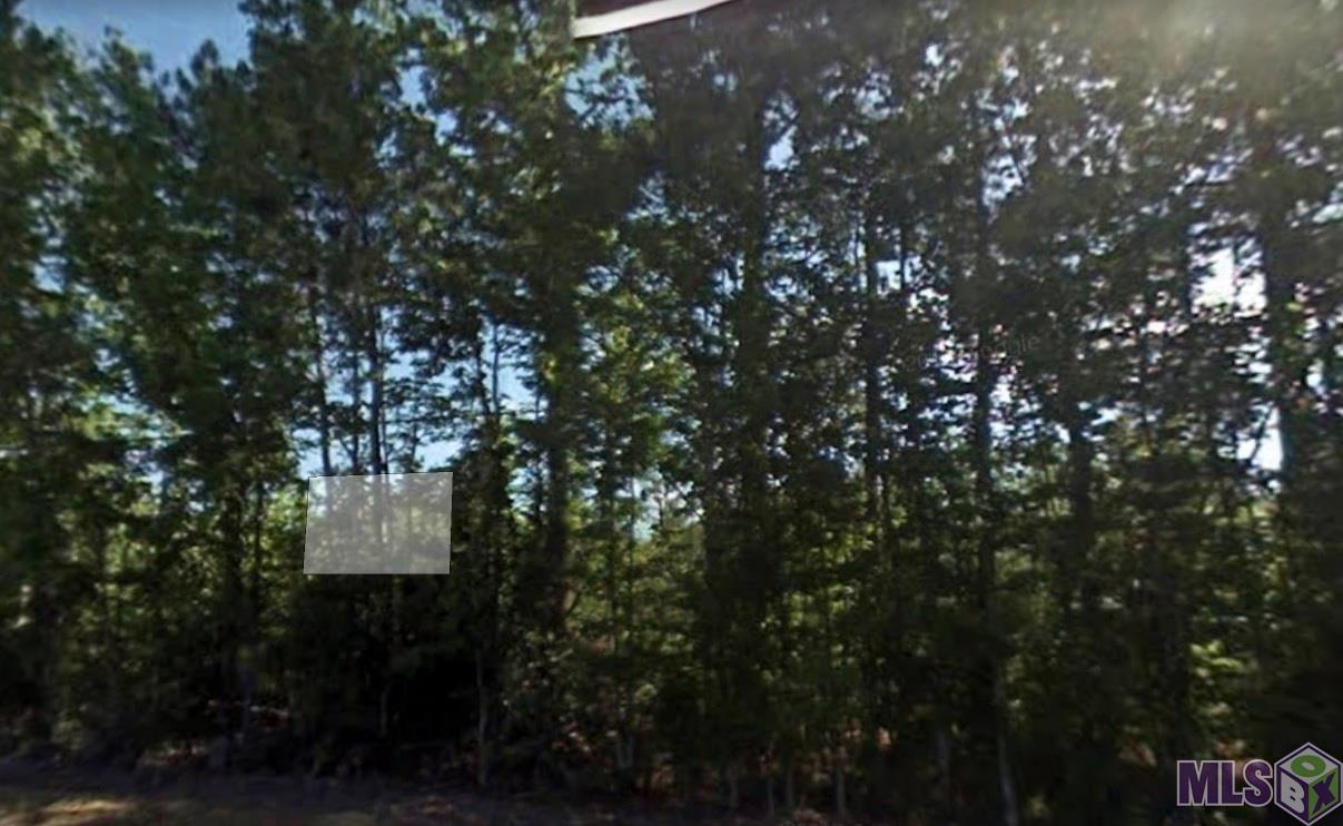 32915 Cane Market Road Walker, LA 70785 - Photo 1 of 1 Gallery Image 1