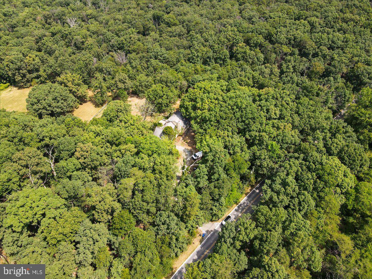 12720 Piney Meetinghouse Road Potomac, MD 20854 - Photo 26 of 32