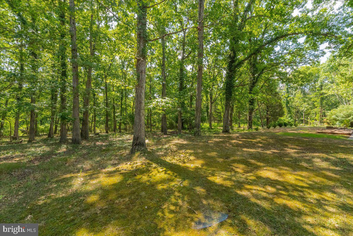 12720 Piney Meetinghouse Road Potomac, MD 20854 - Photo 27 of 32