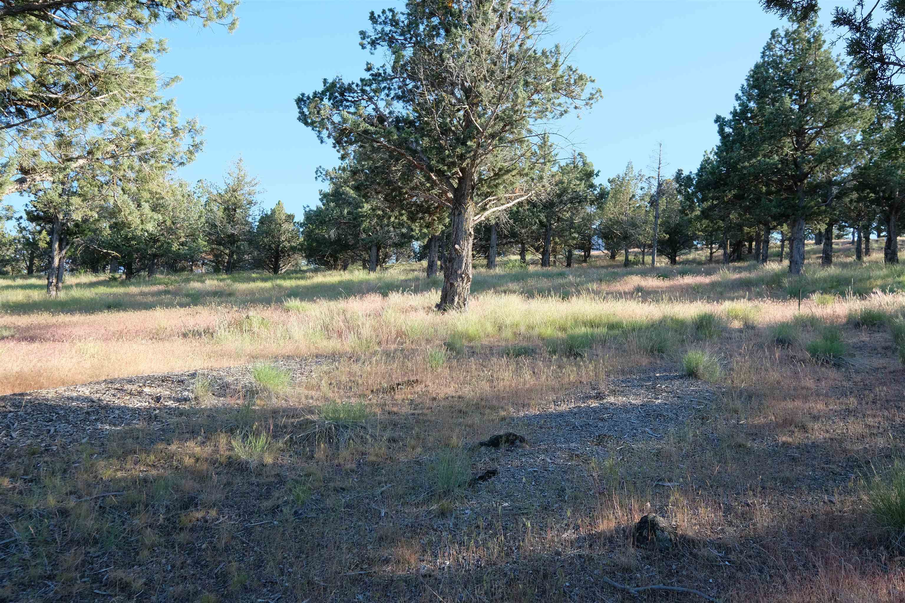 9-1 Unit Road Weed, CA 96094 - Photo 15 of 30 Gallery Image 15