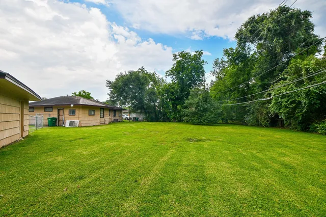 a view of a big yard with plants and large trees