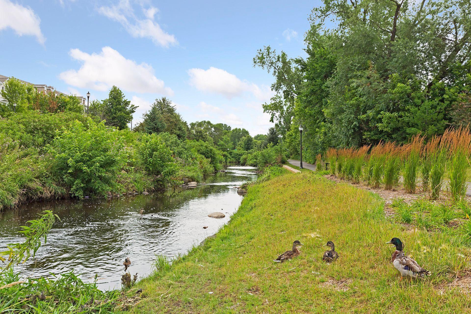 7308 Unity Lane North Brooklyn Park, MN 55443 - Photo 15 of 43