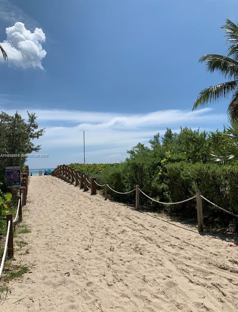 7445 Harding Avenue, Unit 110 Miami Beach, FL 33141 - Photo 15 of 19 a backyard of a house with lots of green space