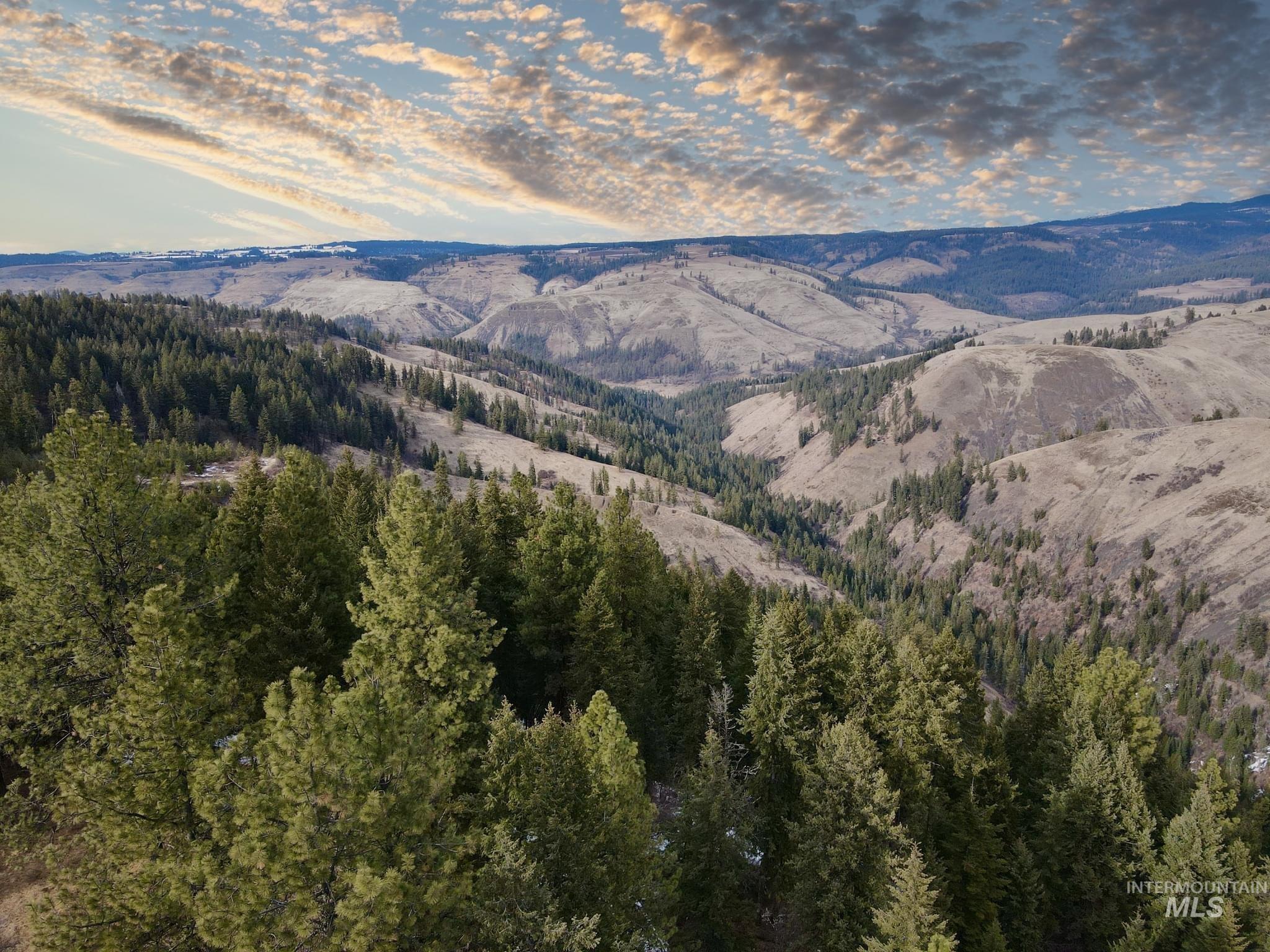 Tbd Trenary Road Kooskia, ID 83539 - Photo 1 of 1
