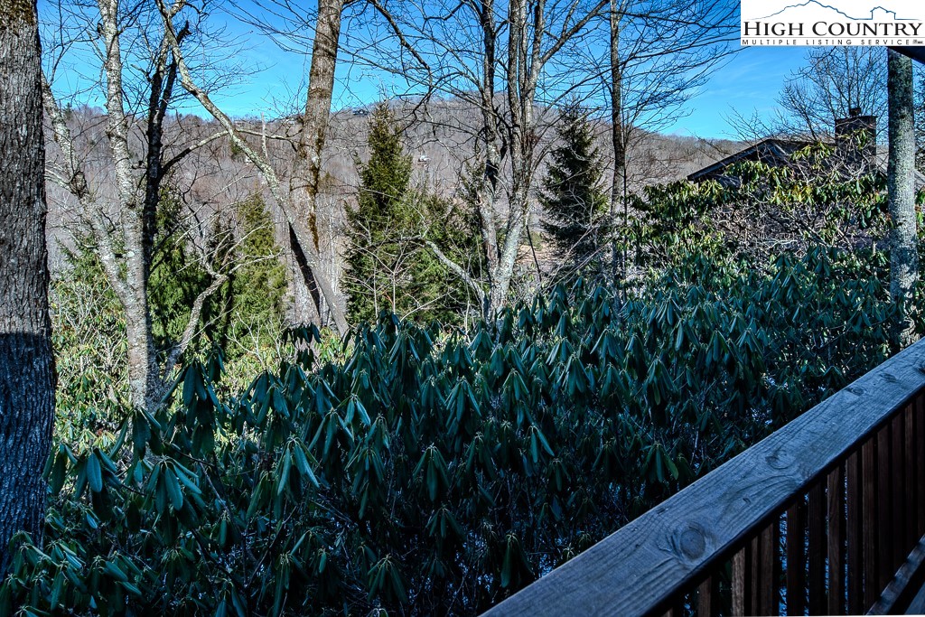 182 Streamside Lane Seven Devils, NC 28604 - Photo 38 of 47