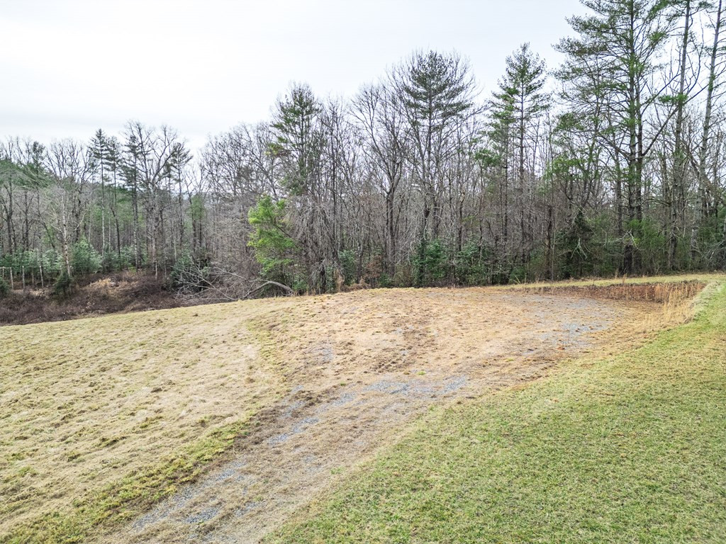 1098 Rowland Hill Road Marble, NC 28905 - Photo 11 of 26