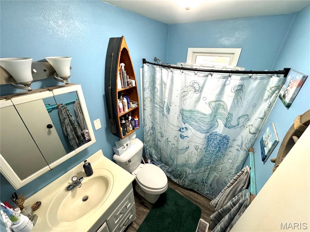 902 Marks Road Canton, MO 63435 - Photo 3 of 11