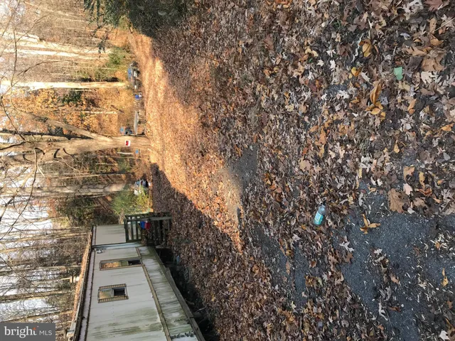 a view of a yard with plants and brick wall
