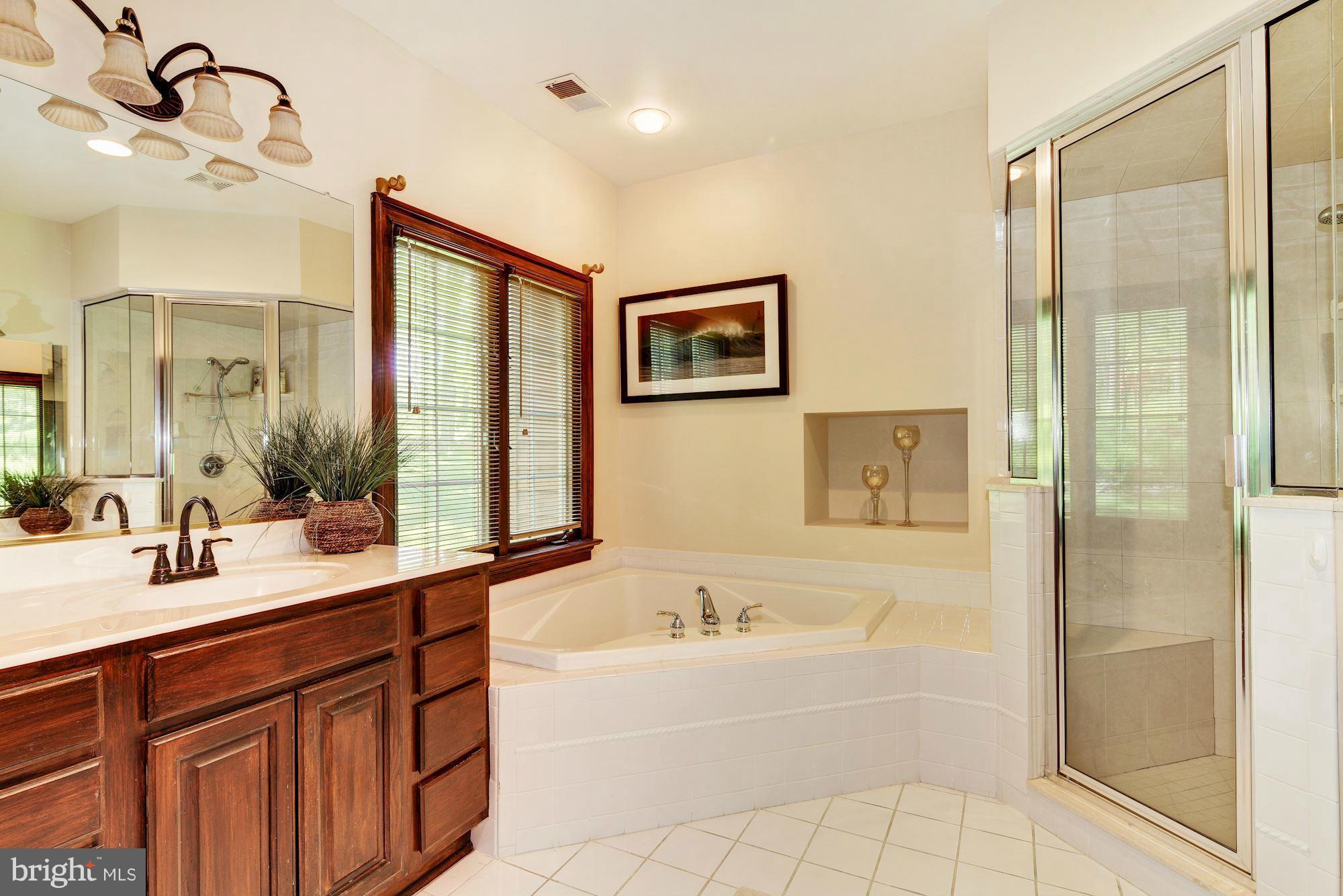 2181 Misty Meadow Road Finksburg, MD 21048 - Photo 14 of 30 Master Bath