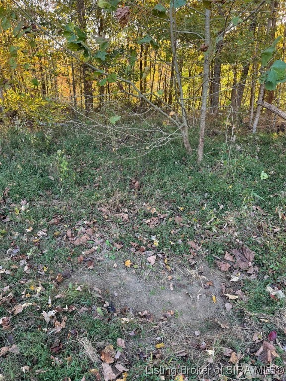 2378 North Liberty View Road Milltown, IN 47145 - Photo 75 of 98 Gallery Image 75