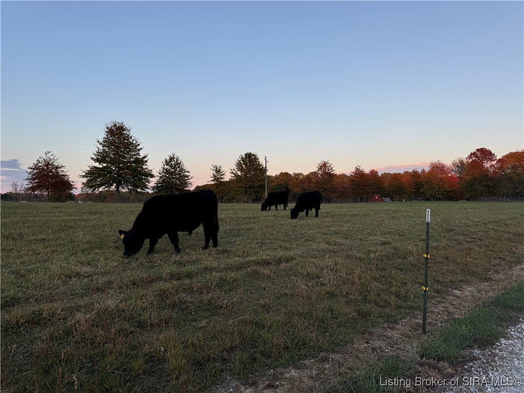 2378 North Liberty View Road Milltown, IN 47145 - Photo 88 of 98 Gallery Image 88