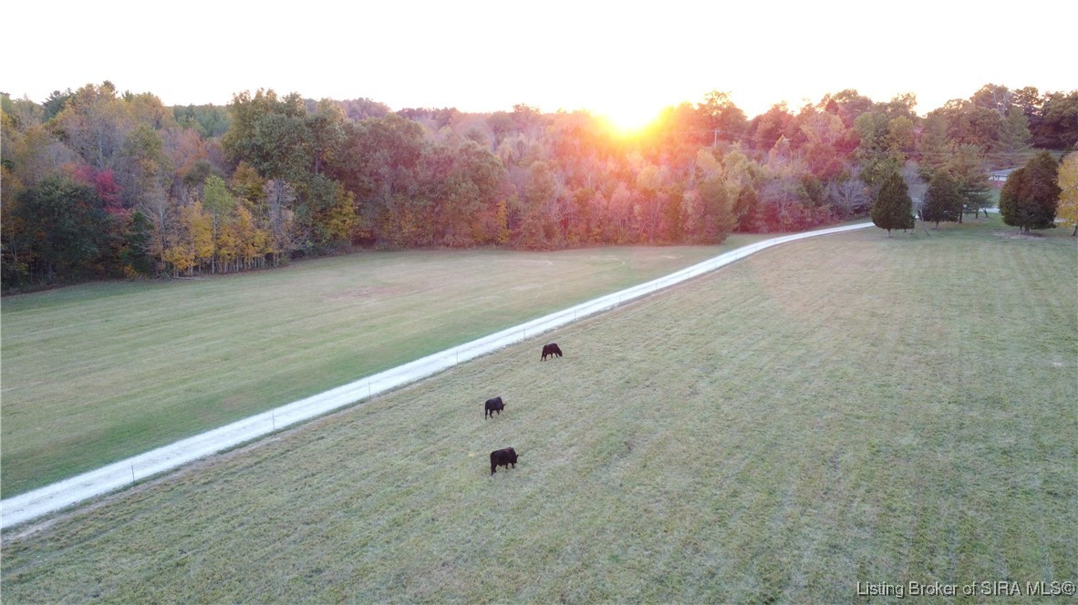 2378 North Liberty View Road Milltown, IN 47145 - Photo 96 of 98 Gallery Image 96