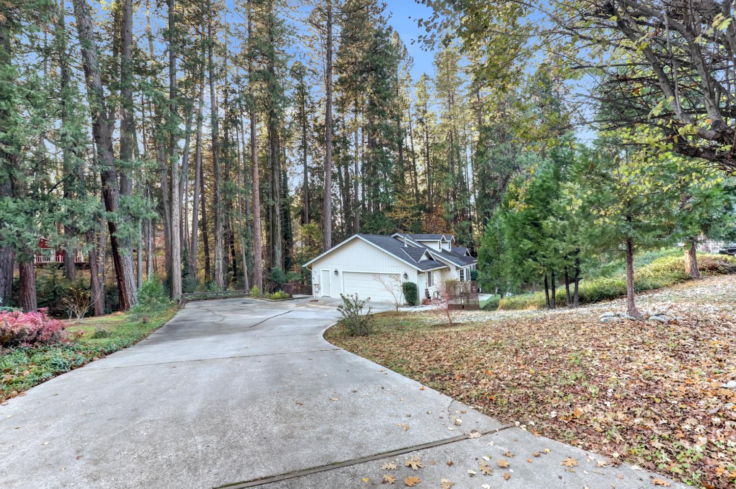 364 Gracie Road Nevada City, CA 95959 - Photo 10 of 59 a view of a house with a yard and large tree