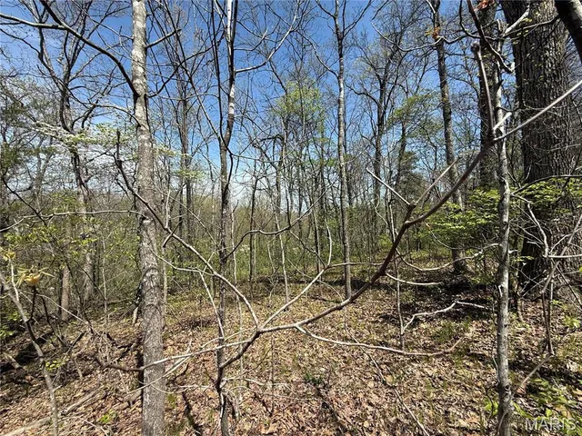 $69,950 | 125 Jabin Farm Road, Wright City, MO 63390