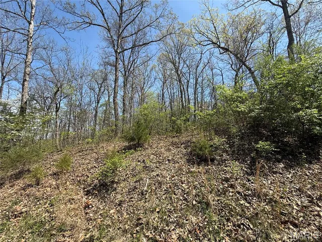 $69,950 | 125 Jabin Farm Road, Wright City, MO 63390