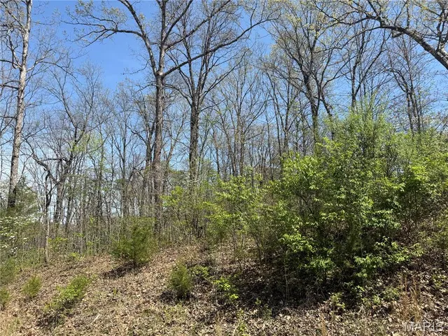 $69,950 | 125 Jabin Farm Road, Wright City, MO 63390