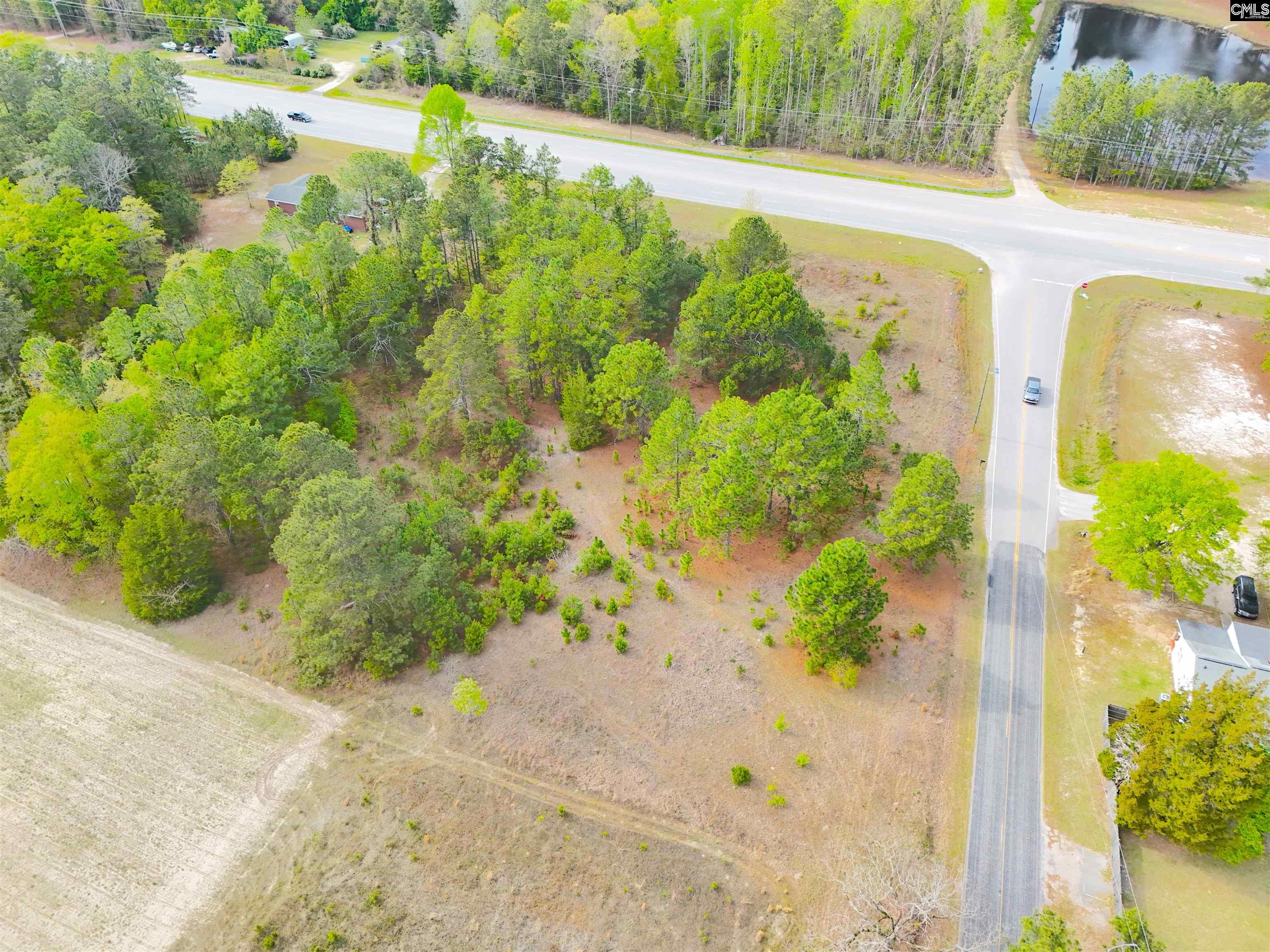 0 Hallman Wagon Road Leesville, SC 29070 - Photo 2 of 2