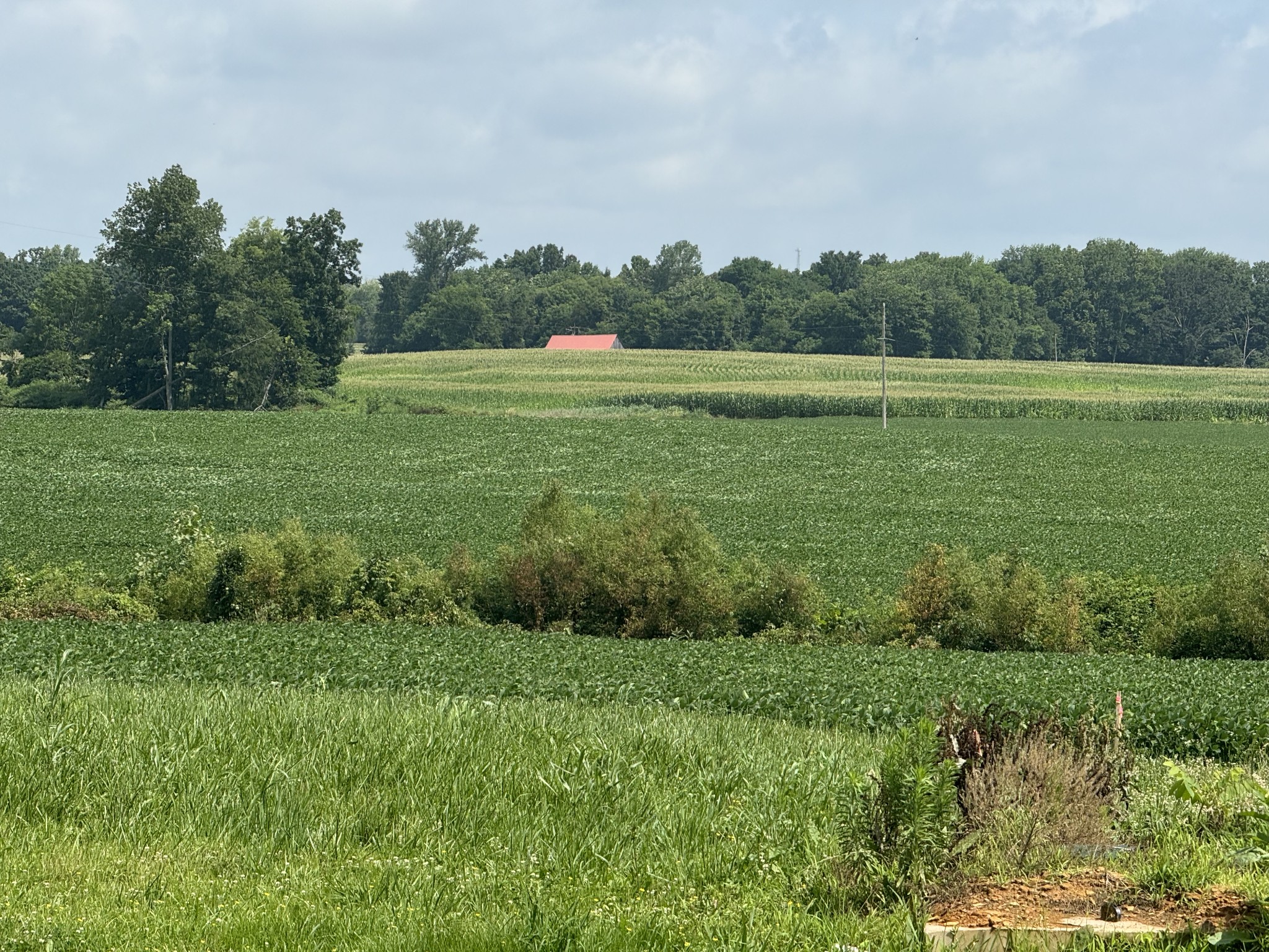 0 Zander Road Hopkinsville, KY 42240 - Photo 1 of 7