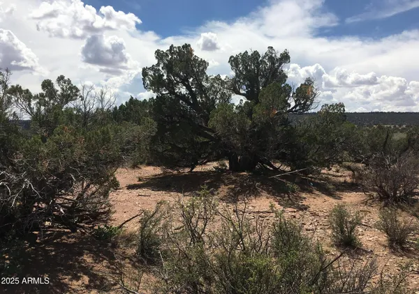 $19,900 | 4266 Bunkhouse Road, Unit 6, Snowflake, AZ 85937