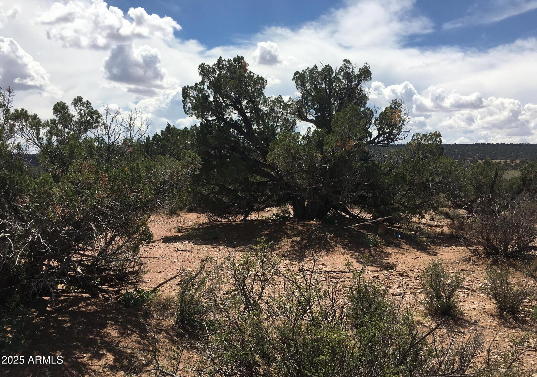 4266 Bunkhouse Road, Unit 6 Snowflake, AZ 85937 - Photo 1 of 9