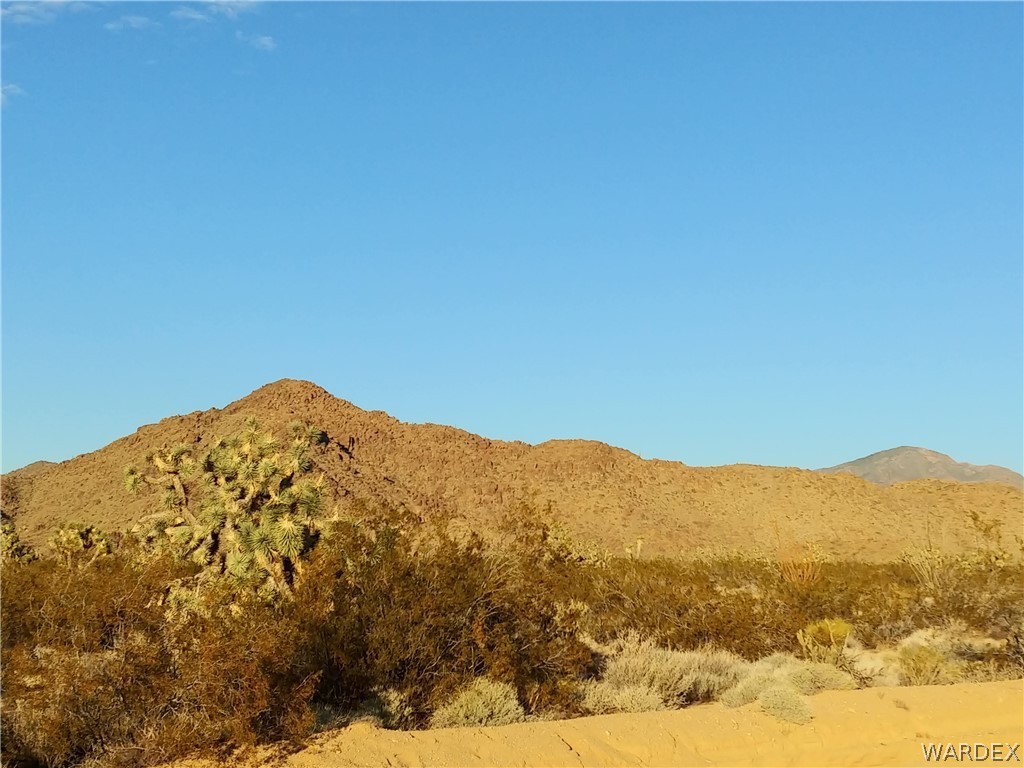 2621 South Cattle Crossing Road Yucca, AZ 86438 - Photo 10 of 25 Gallery Image 10