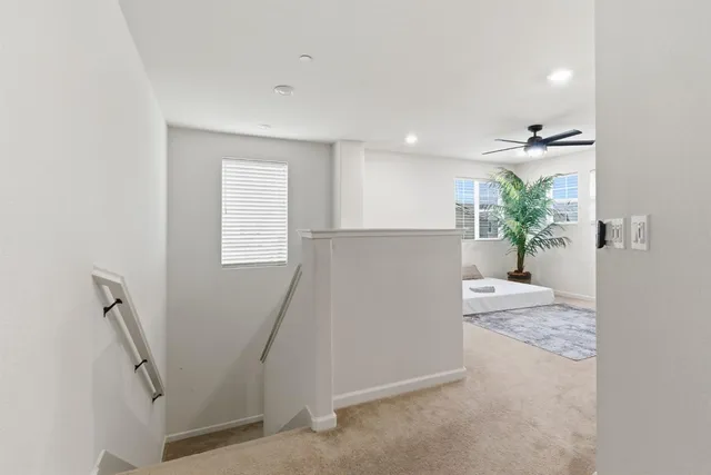 a bedroom with a bed and a potted plant