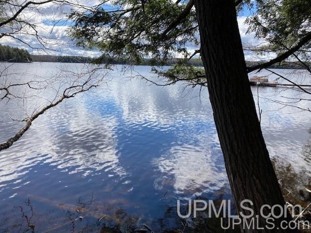 Lot 1 Wizard Road Watersmeet, MI 49969 - Photo 23 of 26 Gallery Image 23