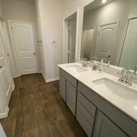 a bathroom with a sink and a mirror