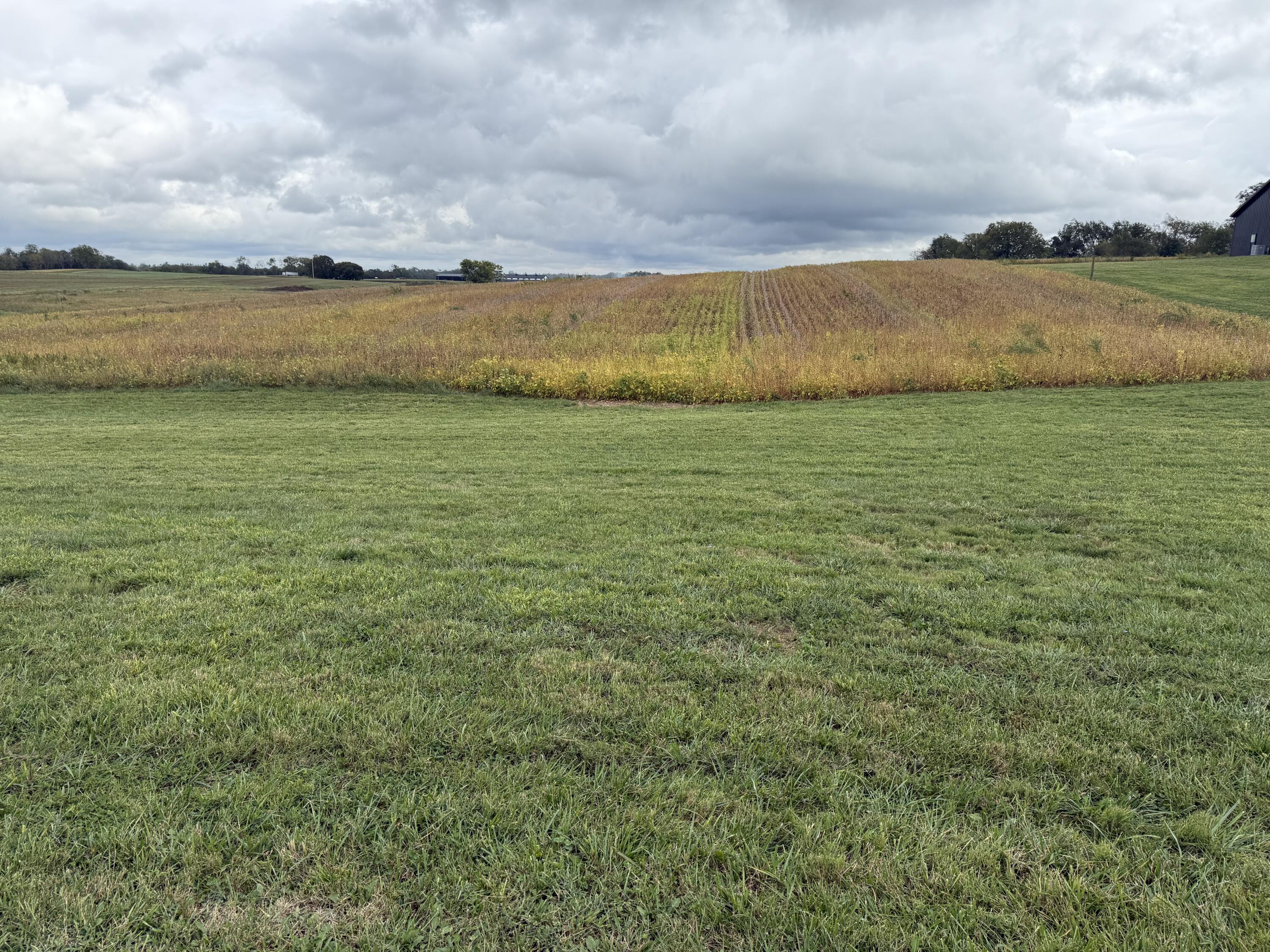 9999 Sewell Shop Road Winchester, KY 40391 - Photo 1 of 2 John Bowen- Land 1