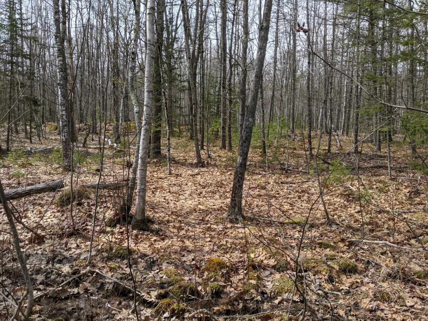 0 Arrowsic Road Bath, ME 04530 - Photo 4 of 12
