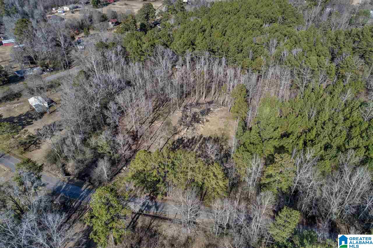 4491 Jim Tate Road Dora, AL 35062 - Photo 6 of 15