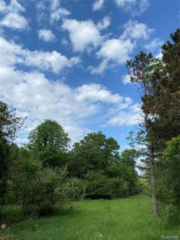 0 Kaiser Road Gregory, MI 48137 - Photo 11 of 29