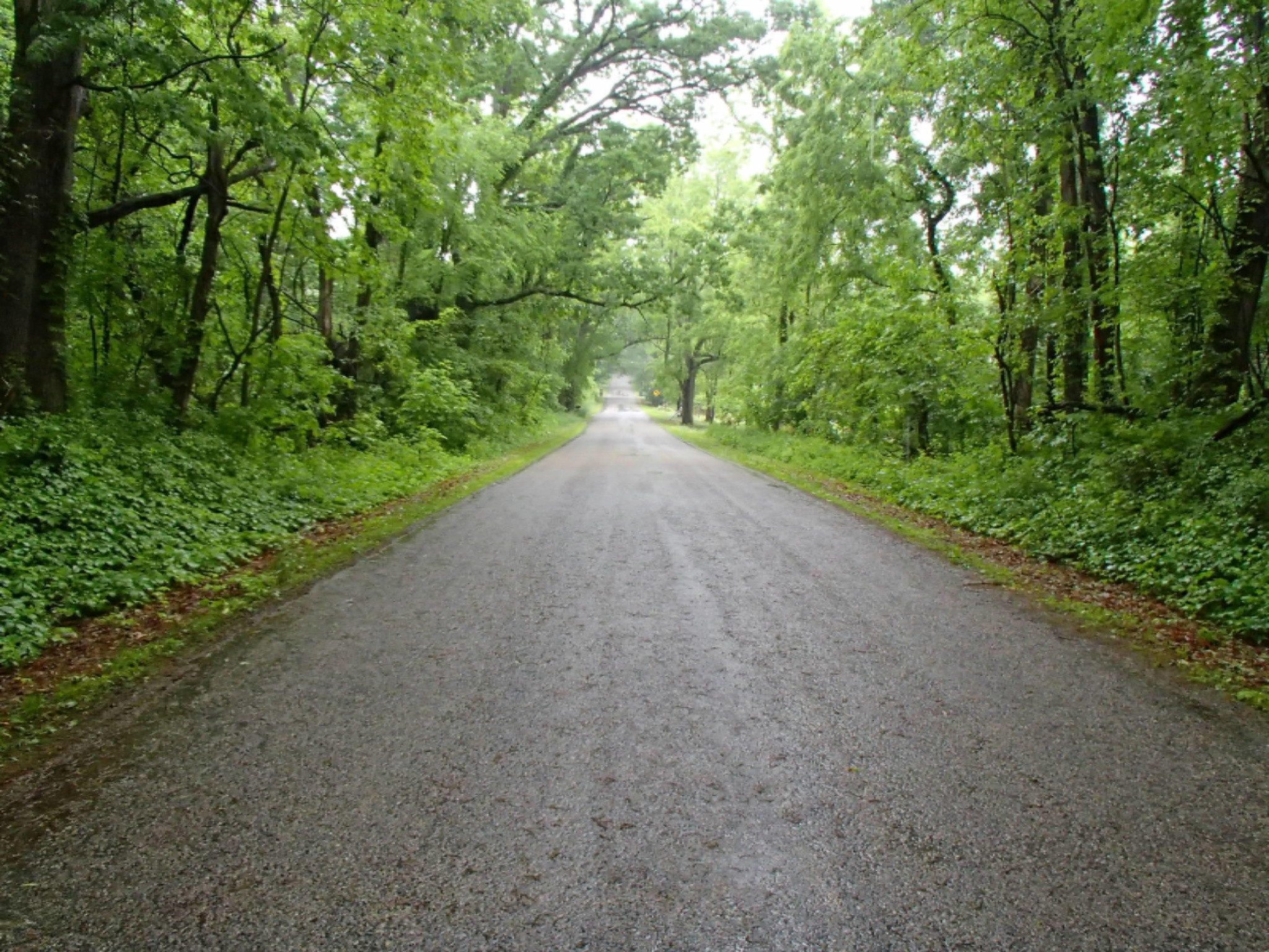 0 17 17 Mile Road Marshall, MI 49068 - Photo 1 of 8 P6130456
