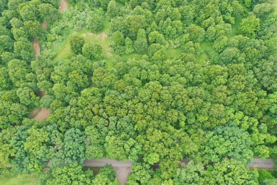 0 17 17 Mile Road Marshall, MI 49068 - Photo 2 of 8 IMG_9101