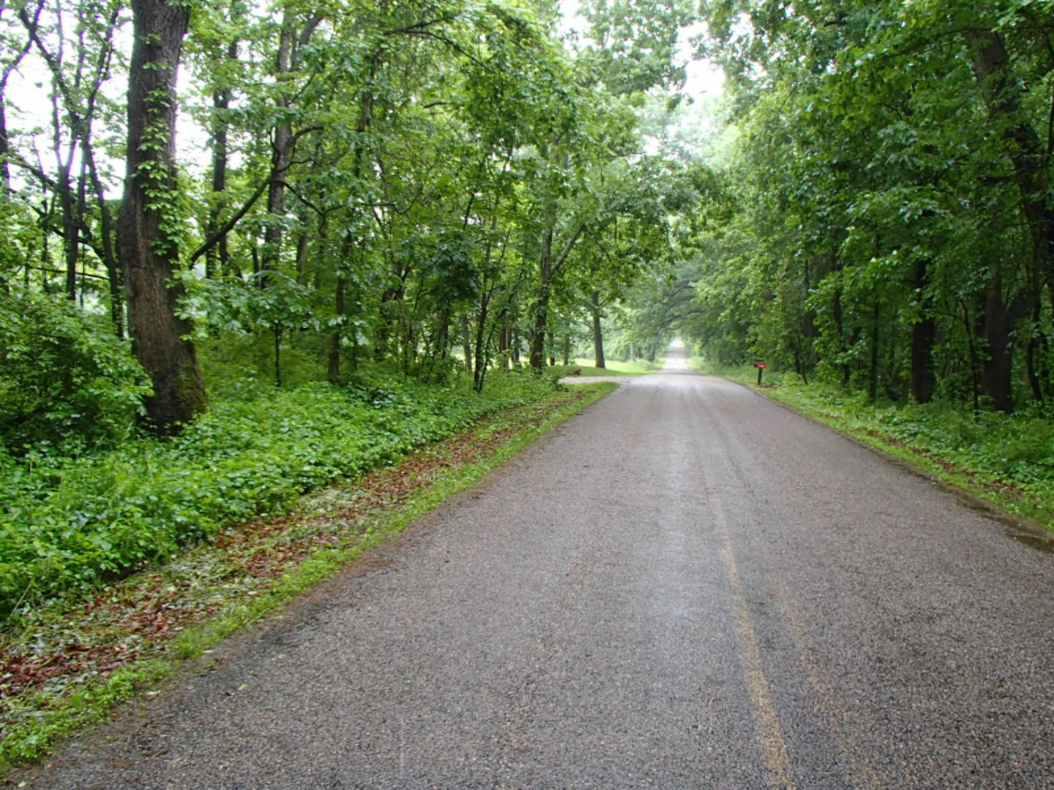 0 17 17 Mile Road Marshall, MI 49068 - Photo 7 of 8 P6130457