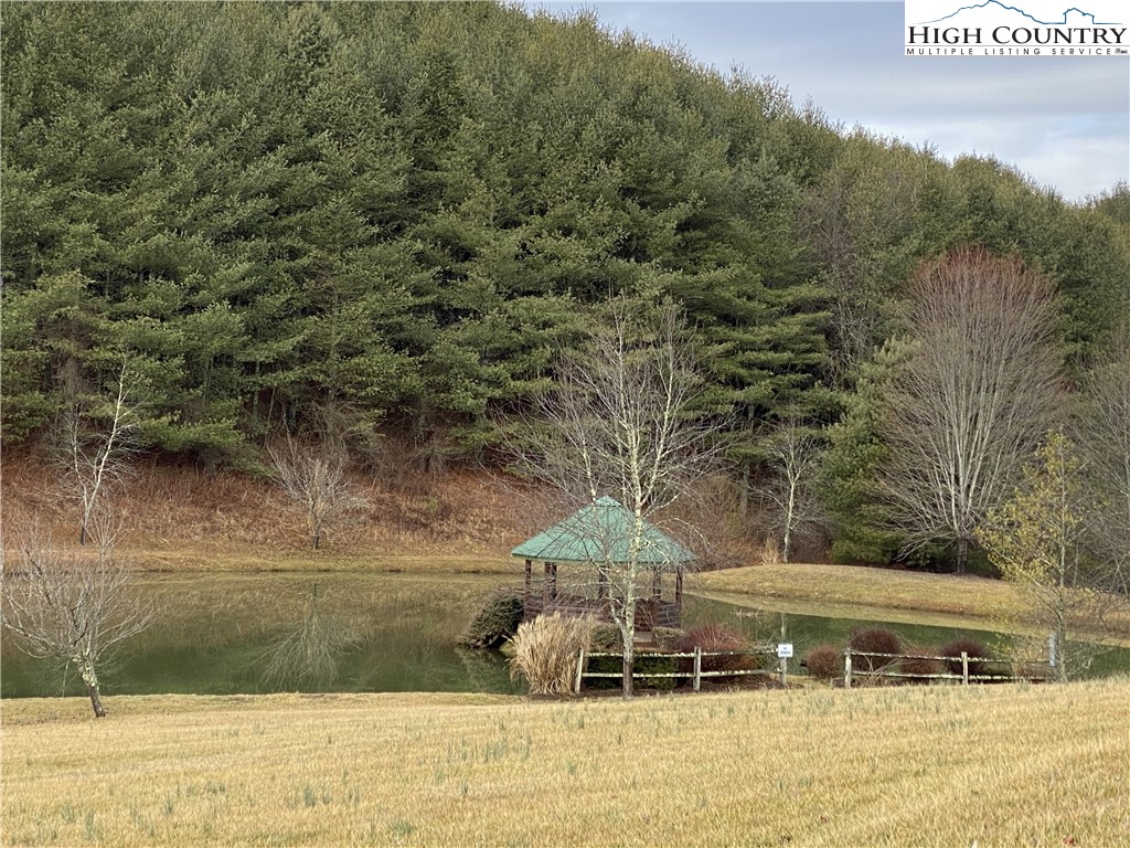 Lot 25 Bear Den Road Sparta, NC 28675 - Photo 15 of 15 a view of a houses with yard