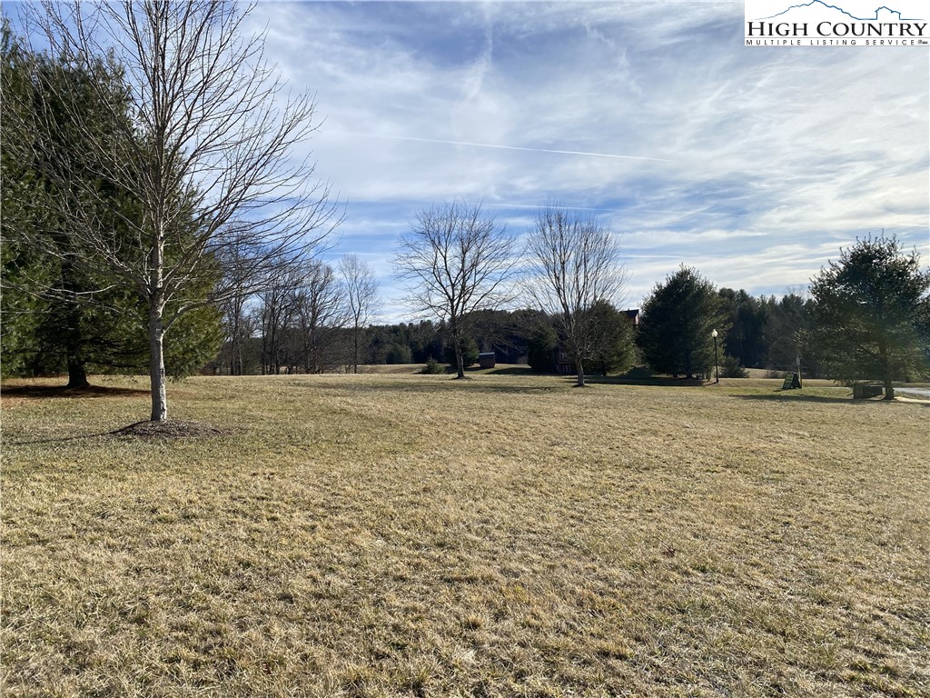 Lot 25 Bear Den Road Sparta, NC 28675 - Photo 3 of 15 a view of outdoor space with trees