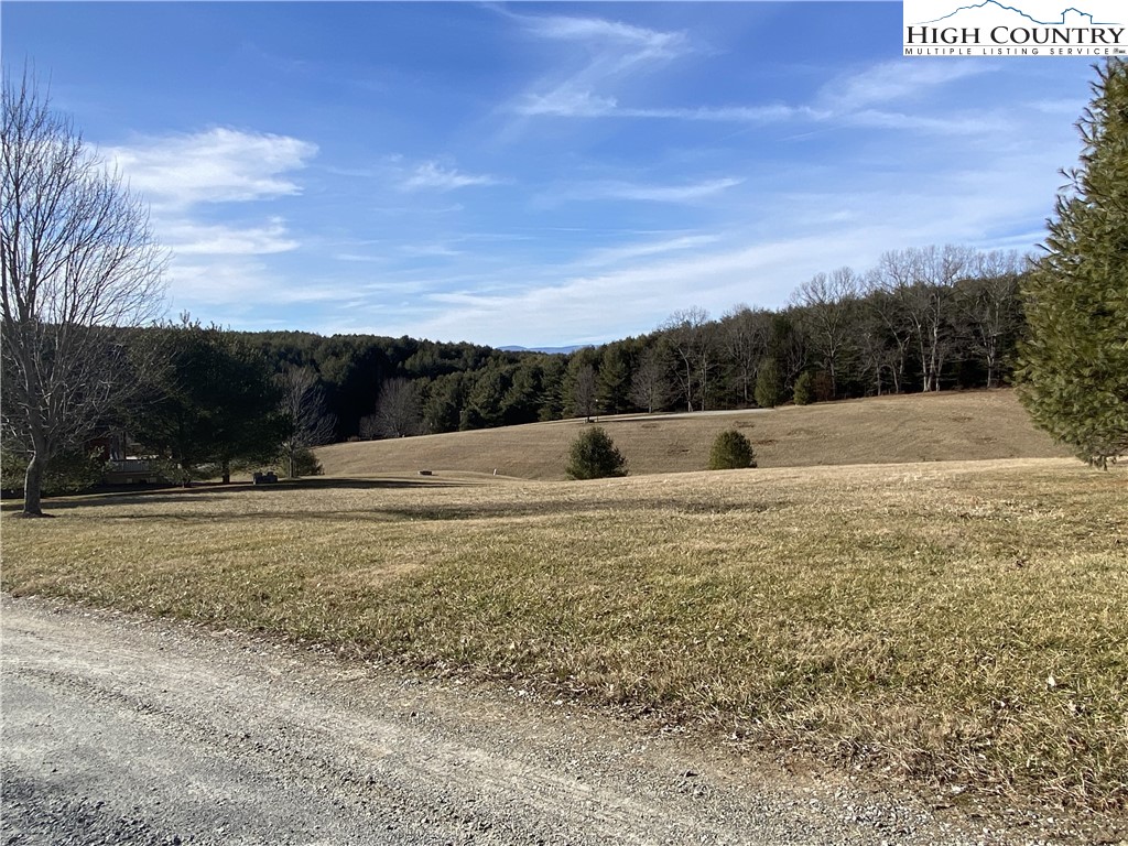 Lot 25 Bear Den Road Sparta, NC 28675 - Photo 6 of 15 a view of patio and yard