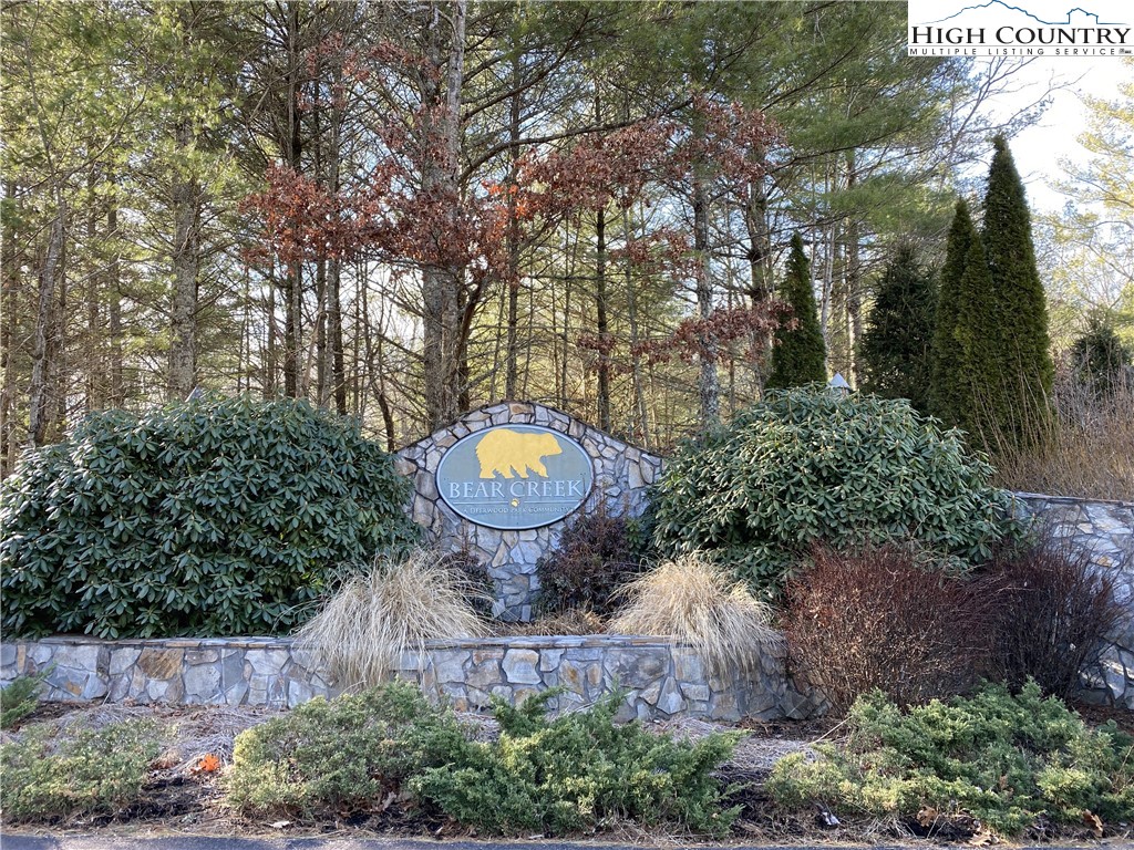 Lot 25 Bear Den Road Sparta, NC 28675 - Photo 7 of 15 a view of a backyard with plants and outdoor seating