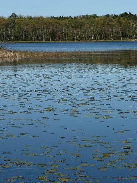 3 County Road 3 Merrifield, MN 56465 - Photo 28 of 36
