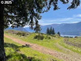 62 Wallace Creek Road Carson, WA 98610 - Photo 9 of 19