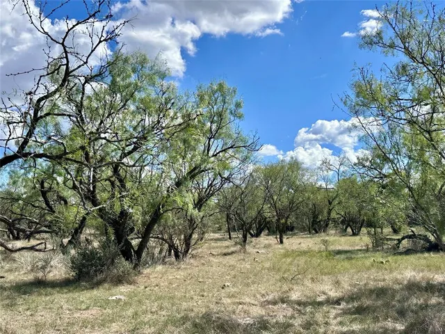 a view of a yard with large trees