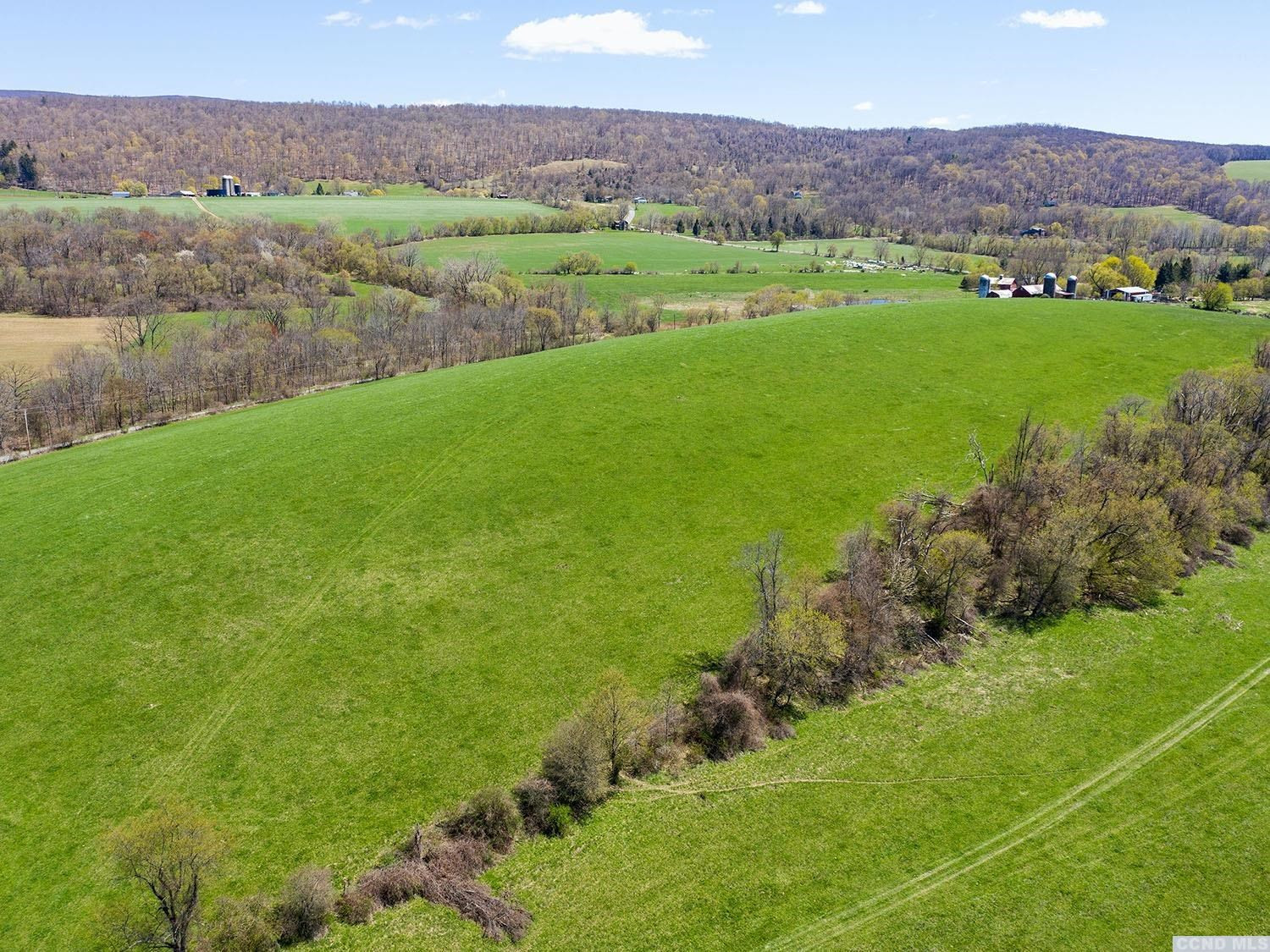 887 East Ancram Road Ancram, NY 12503 - Photo 8 of 10 High open meadow looking east