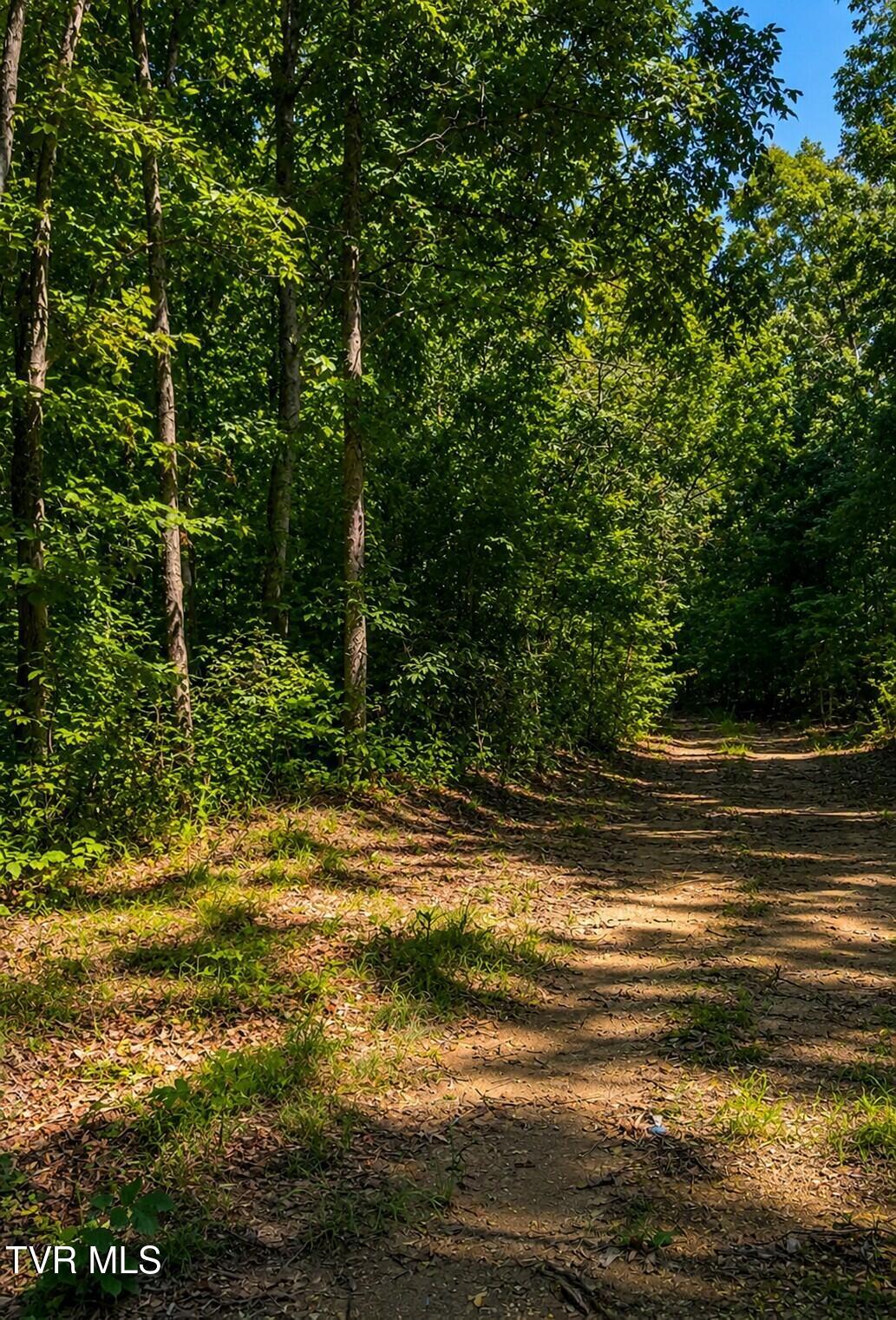 Tbd Mosier Road Johnson City, TN 37601 - Photo 22 of 32 pic 22.1