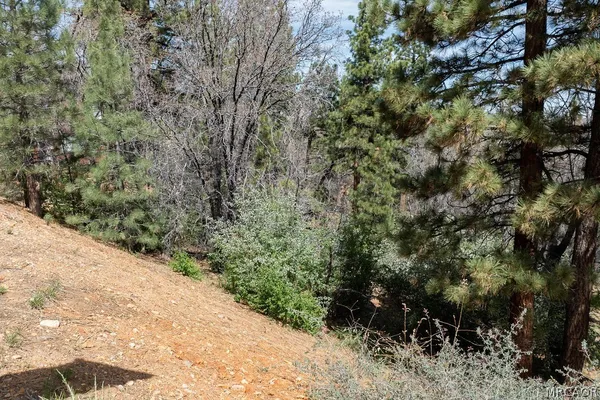 $129,900 | 1530 Tuolumne Road, Big Bear City, CA 92314