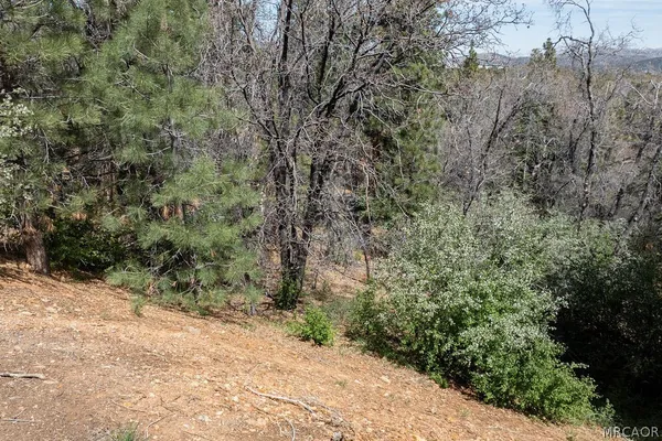 $129,900 | 1530 Tuolumne Road, Big Bear City, CA 92314
