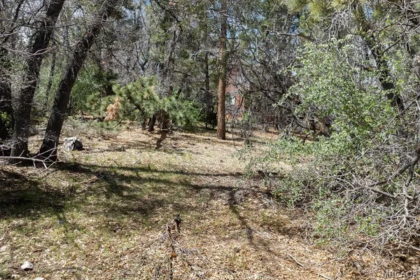 $129,900 | 1530 Tuolumne Road, Big Bear City, CA 92314